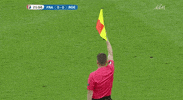 lonely flag GIF by Sporza