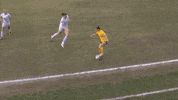 Womens Soccer Skill GIF by National Women's Soccer League