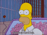 homer simpson GIF