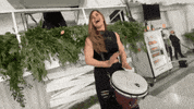 Crystalpercussion drummer bongos percussionist djembe GIF
