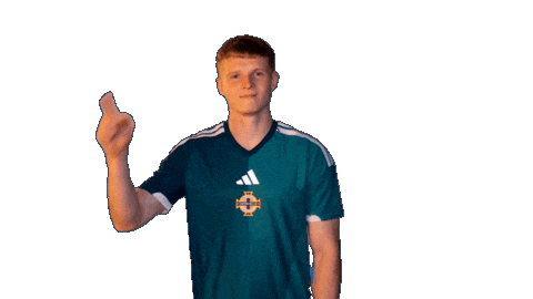 Celebration Portsmouth Sticker by Northern Ireland