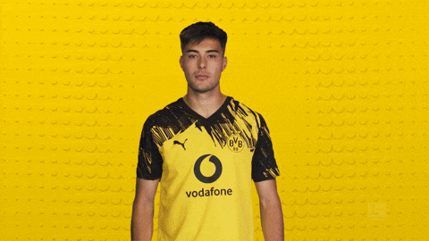 Borussia Dortmund GIF by Bundesliga