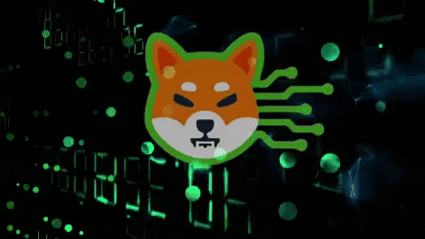 Shibarium GIF by SHIB MEMES