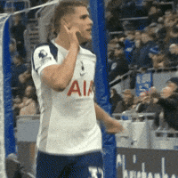 Celebration Goal GIF by Tottenham Hotspur