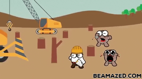 Momotaj giphygifmaker tribes GIF