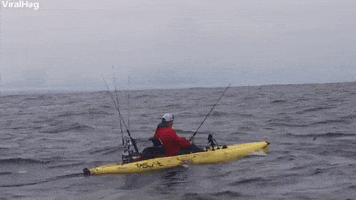 Fisherman Catches Massive Marlin