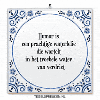 Humor Troost GIF by Tegelspreuken.nl