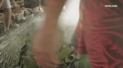 viceland GIF by HUANG'S WORLD