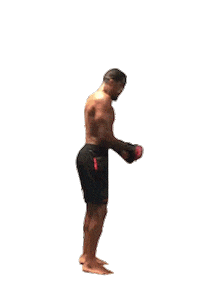 backflip Sticker by Alan Nuguette