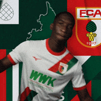Football Flag GIF by FC Augsburg 1907