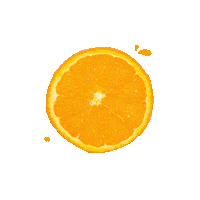 Beauty Orange Sticker by yourzooki