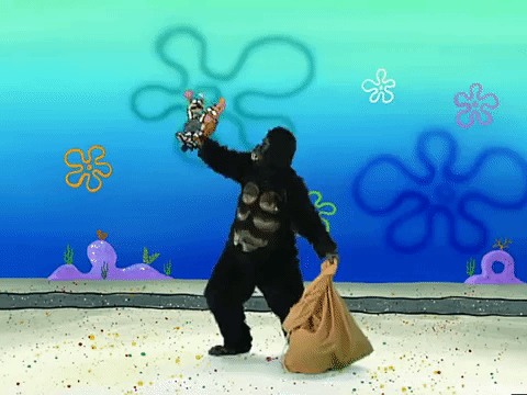 season 3 GIF by SpongeBob SquarePants