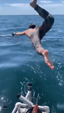 Man Leaps Into Sea to Swim With Shark