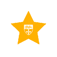Celebration Star Sticker by Newcastle University