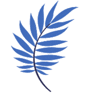 Beach Minimalist Sticker