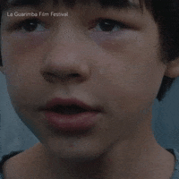 Sad Back To School GIF by La Guarimba Film Festival
