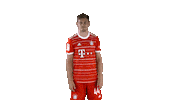 Football Sport Sticker by FC Bayern Munich