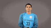 Mens Soccer GIF by Cal State LA Golden Eagles