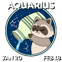 Bitcoin Raccoon Sticker by Ordinary Frends