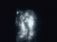 Thejokesonme GIF by AUDREY NUNA