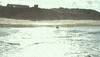 Beach Horse Riding GIF by Transmission Films