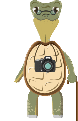 Photography Mascot Sticker