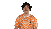 Nederlands Elftal Carnaval Sticker by Leadrs