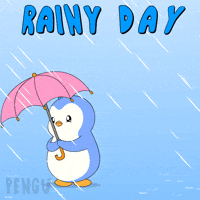 Raining Rainy Day GIF by Pudgy Penguins