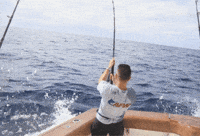 Fishing Tackle Fish GIF by AFW Fishing Brands