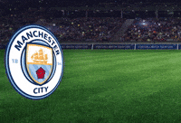 Manchester United Mci GIF by RightNow