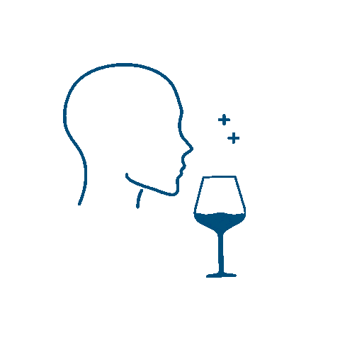 adrienboutin giphyupload drink wine tasting wine ccvh Sticker