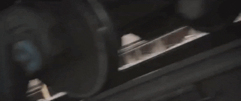 Life On Earth GIF by Hurray For The Riff Raff