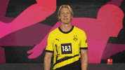 Borussia Dortmund Celebration GIF by Bundesliga