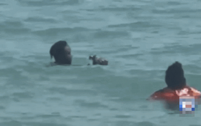 cuteanimalland giphyupload GIF
