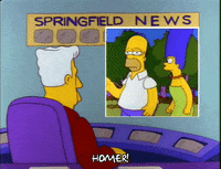 Season 3 Episode 13 GIF by The Simpsons