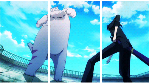 k project fighting GIF