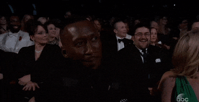 oscars 2017 lol GIF by The Academy Awards