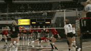 Ohio University Ncaa GIF by Ohio Bobcats