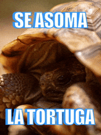 Me Voy Trip GIF by ciabcn