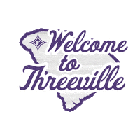 South Carolina Basketball Sticker by Furman University