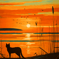 Good Morning Cat GIF by PEEKASSO