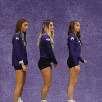 Volleyball Wesleyan GIF by KWC Panthers
