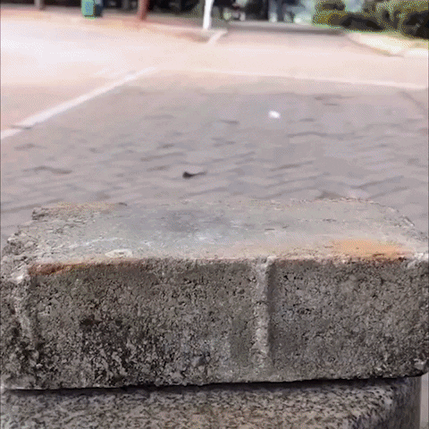 jimmymathews6a48 giphyupload GIF