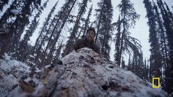 natgeochannel life below zero GIF