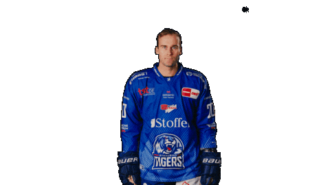 Scott Sticker by Straubing Tigers