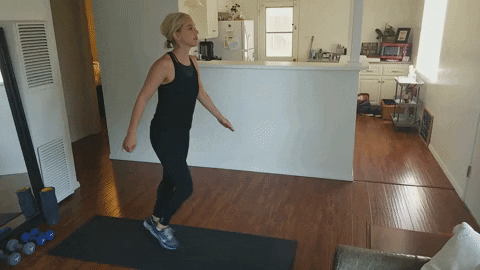 jackrabbit22 giphyupload GIF