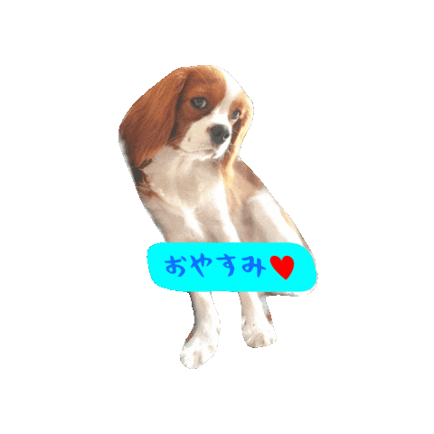 Morning Cavalierkingcharlesspaniel Sticker