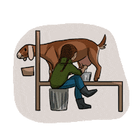 gretchenmannart goat milk farm farmer Sticker
