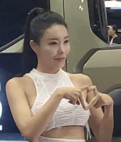 Model GIF