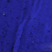 GIF by Kentucky Men’s Basketball. #TGT -